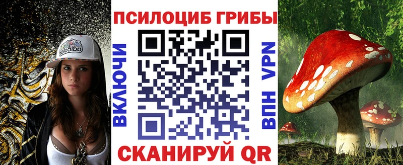 Галлюциногенные грибы Magic Shrooms  Купить закладки  Воронеж 